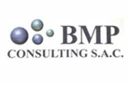 Bmp Consulting
